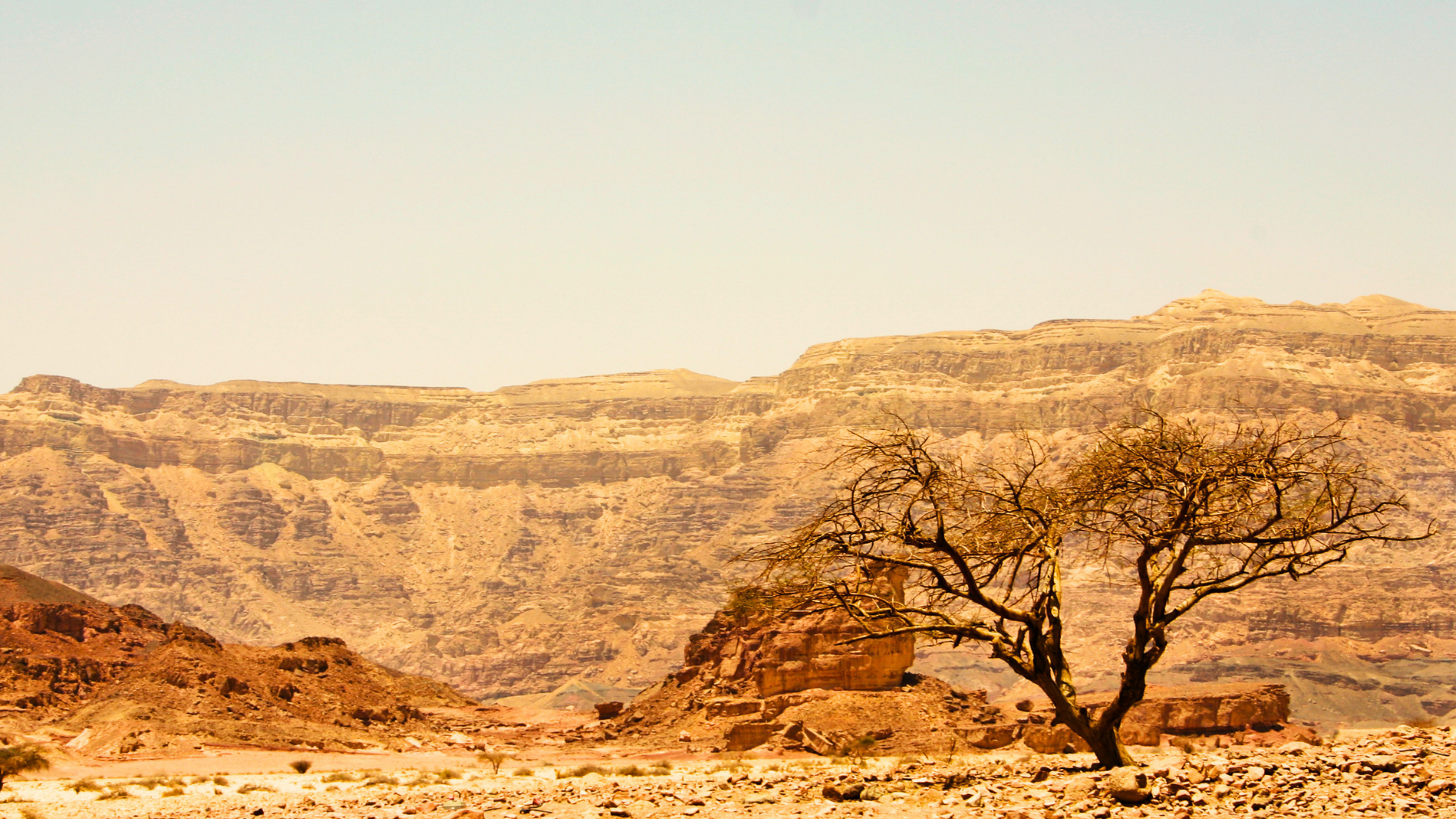 Walking by Faith in the Wilderness